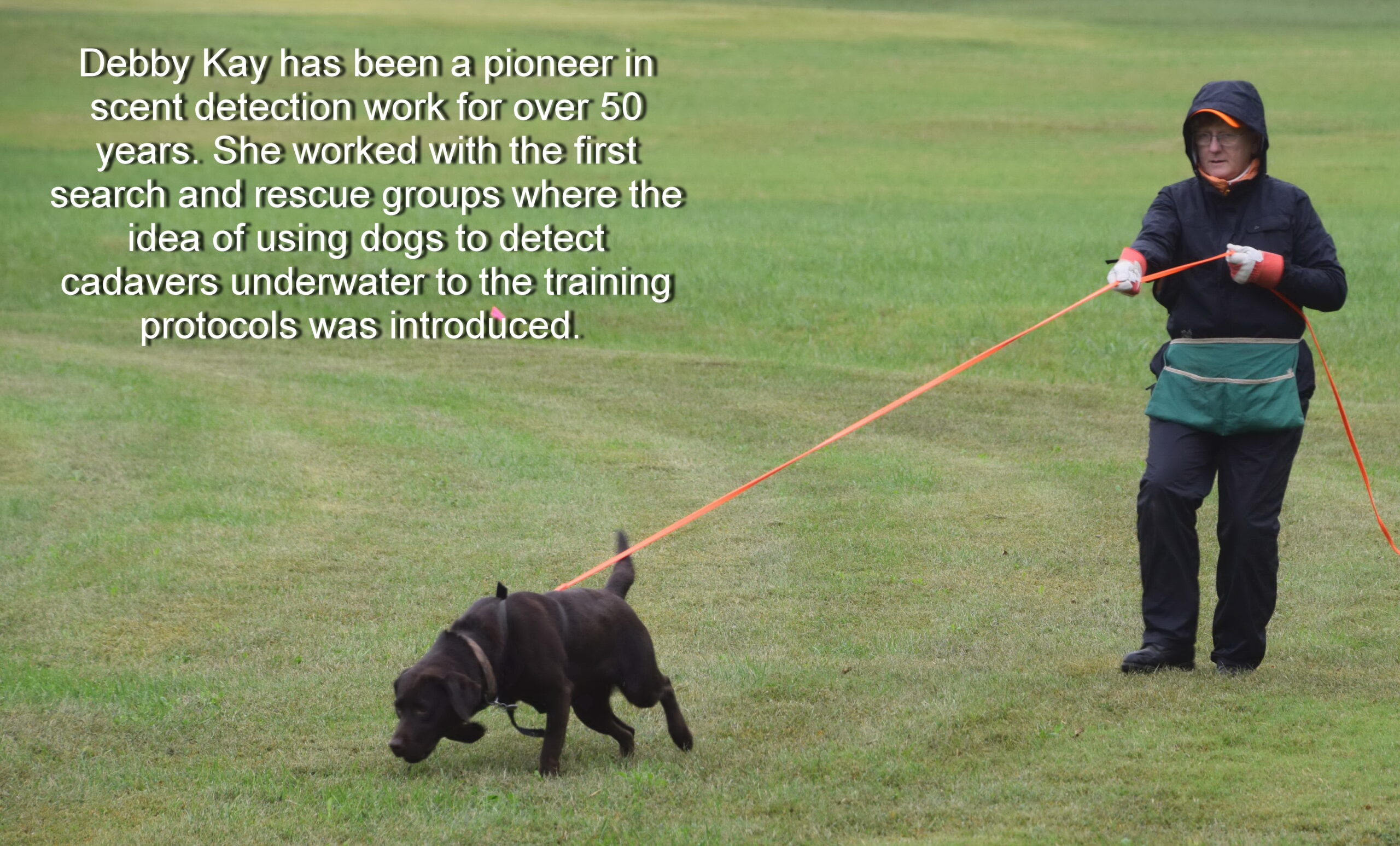 Dog tracking store training near me