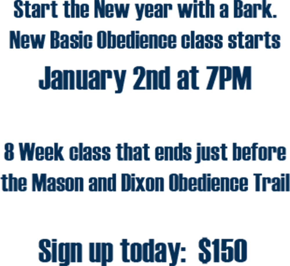 Obedience Class Mason&Dixon Kennel Club