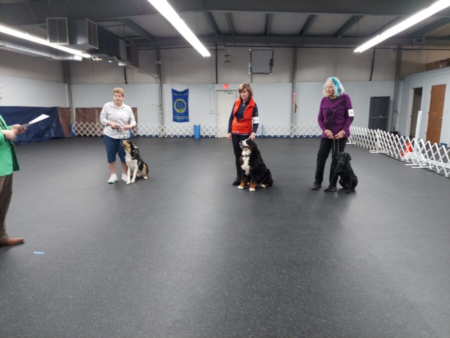 20250323_132123_resized