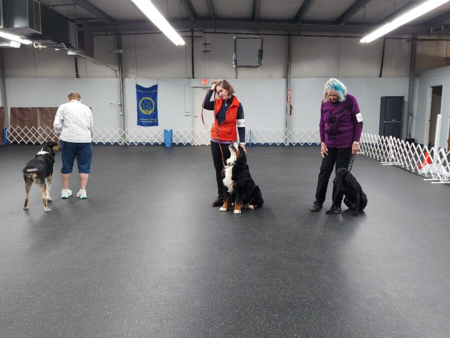 20250323_132129_resized