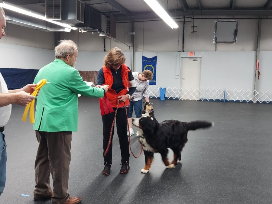 20250323_132206_resized