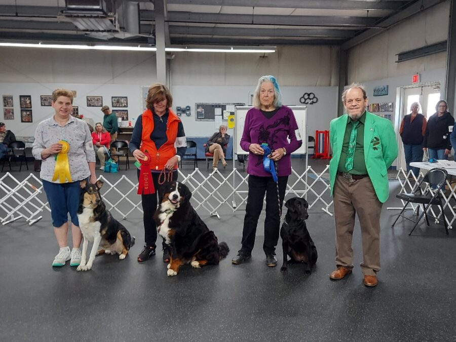 20250323_132230_resized