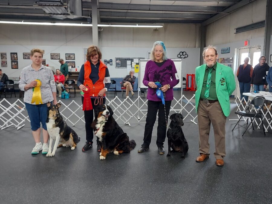 20250323_132232_resized