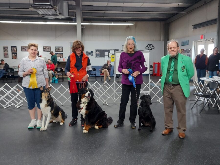 20250323_132233_resized